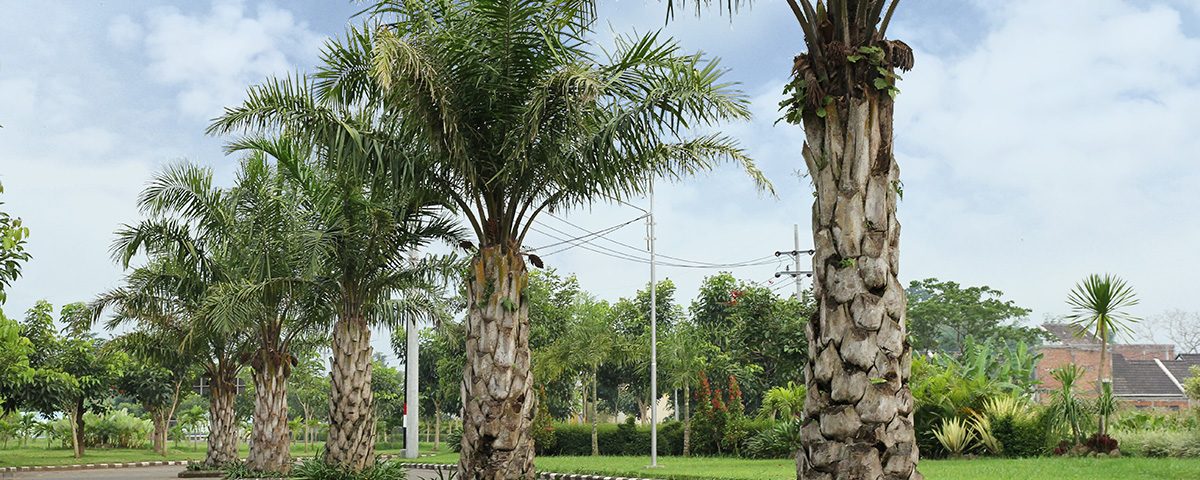 Jalan Utama Besar - Permata Royal Garden