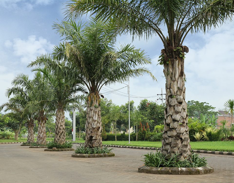 Jalan Utama Besar - Permata Royal Garden